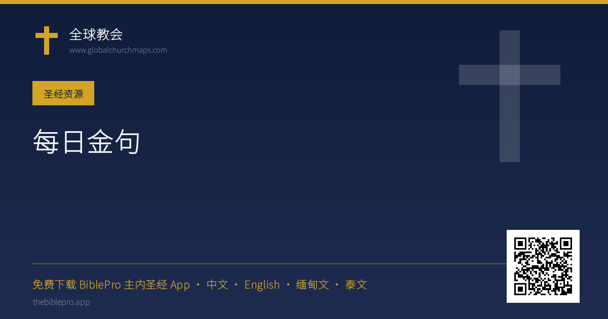 每日金句