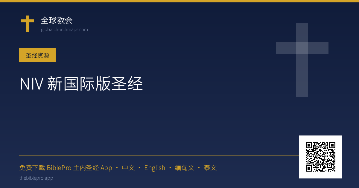 NIV 新国际版圣经