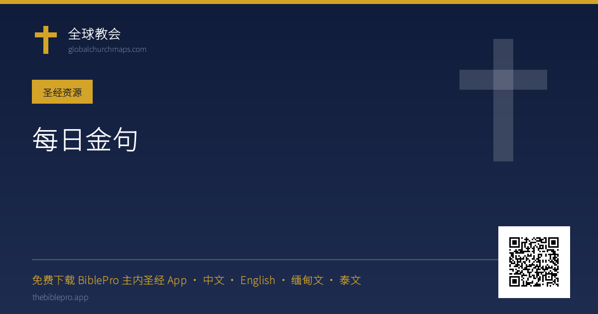 每日金句